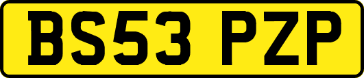 BS53PZP