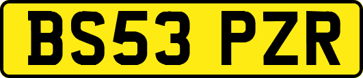 BS53PZR