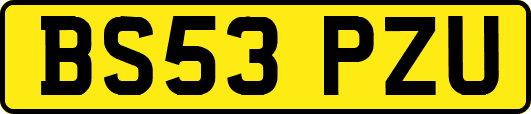 BS53PZU