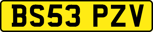BS53PZV
