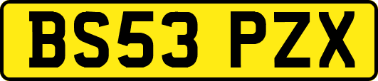 BS53PZX