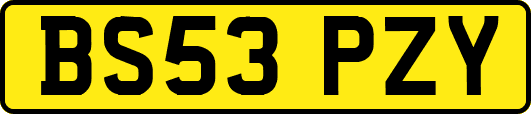 BS53PZY