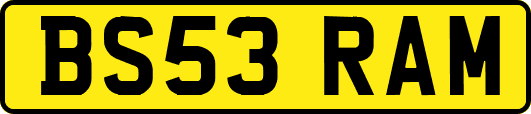 BS53RAM