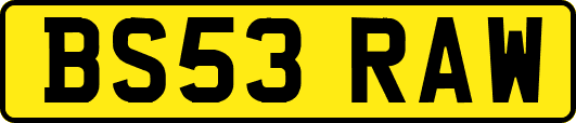 BS53RAW