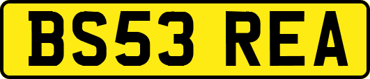BS53REA