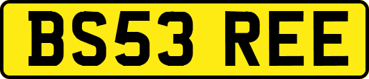 BS53REE