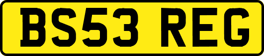 BS53REG