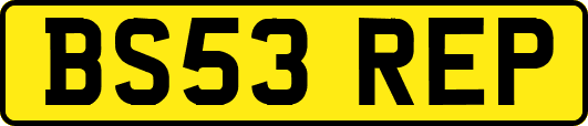 BS53REP