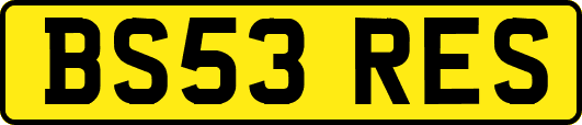 BS53RES
