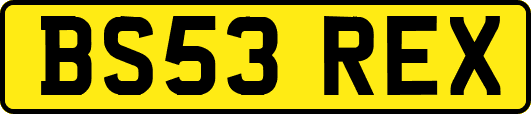BS53REX