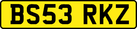 BS53RKZ