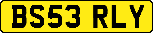 BS53RLY