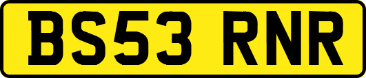 BS53RNR