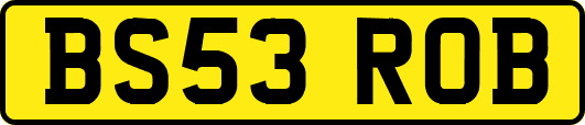 BS53ROB