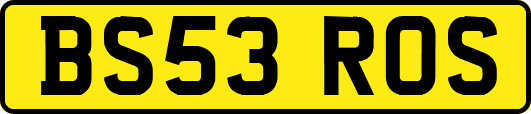 BS53ROS