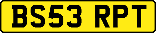 BS53RPT