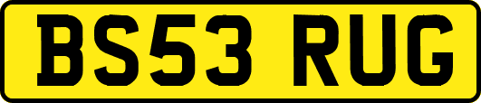 BS53RUG