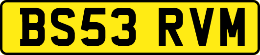 BS53RVM
