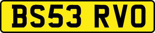 BS53RVO