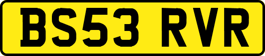 BS53RVR