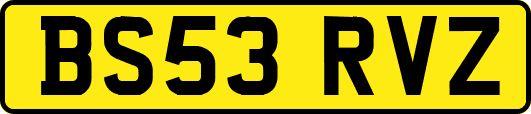 BS53RVZ