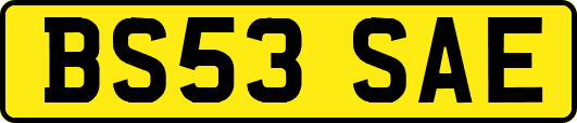 BS53SAE