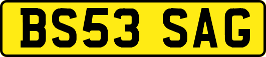 BS53SAG