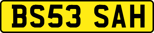 BS53SAH
