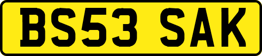 BS53SAK