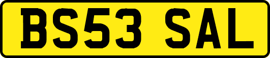 BS53SAL