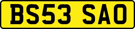 BS53SAO