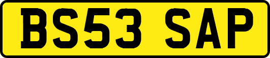 BS53SAP