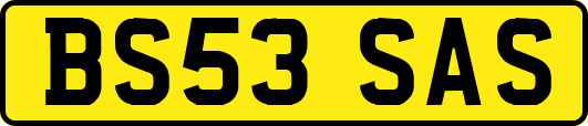 BS53SAS