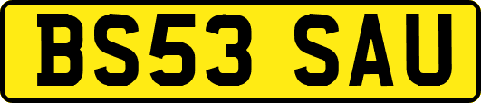 BS53SAU