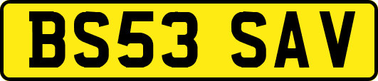BS53SAV
