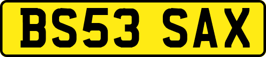 BS53SAX