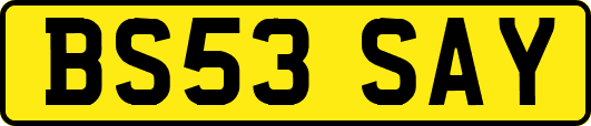 BS53SAY