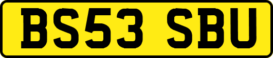 BS53SBU