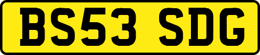 BS53SDG