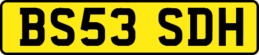 BS53SDH