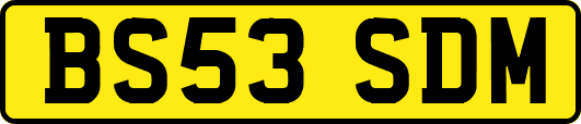 BS53SDM