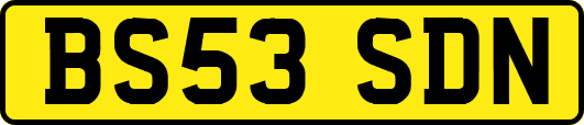 BS53SDN