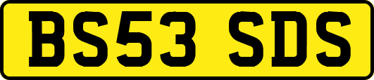 BS53SDS