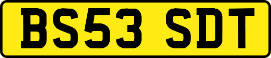 BS53SDT