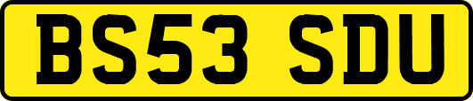 BS53SDU