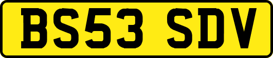 BS53SDV