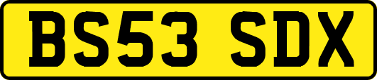 BS53SDX