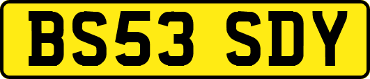 BS53SDY
