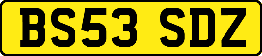 BS53SDZ