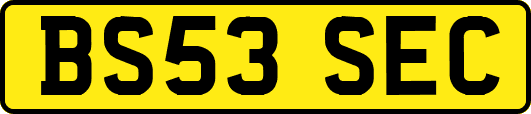 BS53SEC